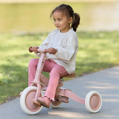Little Dutch 4 in 1 Tricycle
