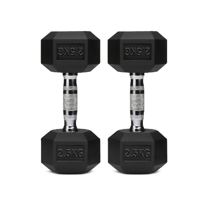 Rubber Hex Dumbbell Set for Your Home Gym