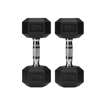 Rubber Hex Dumbbell Set for Your Home Gym