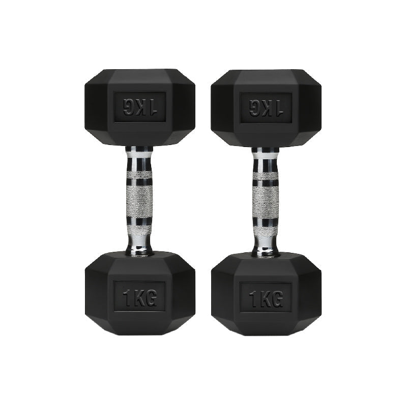 Rubber Hex Dumbbell Set for Your Home Gym