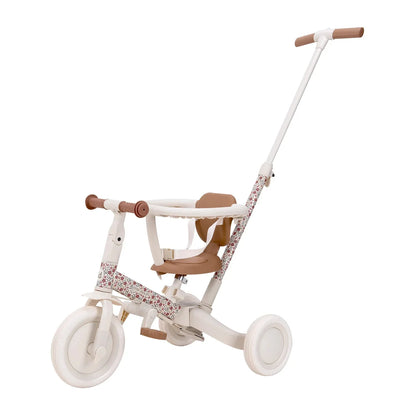 Little Dutch 4 in 1 Tricycle